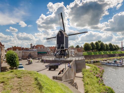 vergezicht met molen